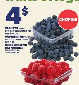 Provigo BLEUETS 340G OU FRAMBOISES 170 G | BLUEBERRIES OR RASPBERRIES offer