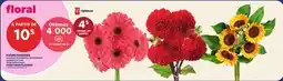 Provigo FLEURS FRAÎCHES | FARM FRESH FLOWERS offer
