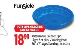 Canadian Tire Funsicle Wading Pool. 36˝ x 7˝. Ages 3 and up offer