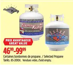 Canadian Tire Selected Propane Tanks offer