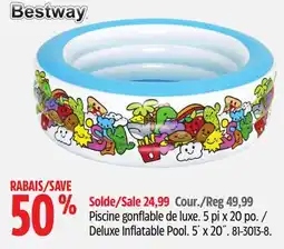 Canadian Tire Deluxe Inflatable Pool offer