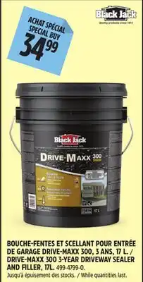 Canadian Tire BLACK JACK DRIVE-MAXX 300 3-YEAR DRIVEWAY SEALER AND FILLER offer