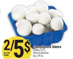 Marché Adonis CHAMPIGNONS BLANCS | WHITE MUSHROOMS offer
