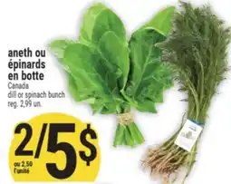 Marché Adonis aneth ou épinards en botte offer