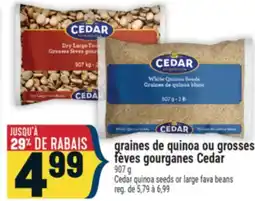 Marché Adonis GRAINES DE QUINOA OU GROSSES FÈVES GOURANES CEDAR | CEDAR QUINOA SEEDS OR LARGE FAVA BEANS offer