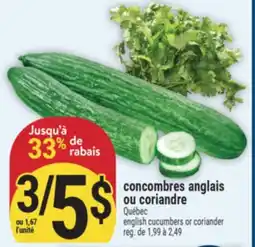 Marché Adonis CONCOMBRES ANGLAIS OU CORIANDRE | ENGLISH CUCUMBERS OR CORIANDER offer