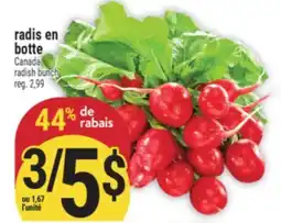Marché Adonis RADIS EN BOTTE | RADISH BUNCH offer
