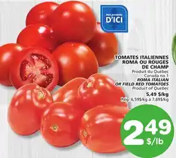 Marches Tradition ROMA ITALIAN OR FIELD RED TOMATOES offer