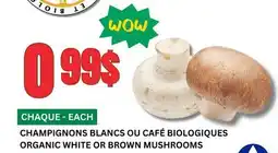 Marches Tau CHAMPIGNONS BLANCS OU CAFÉ BIOLOGIQUES offer