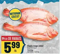 Marché Adonis tilapia rouge entier offer