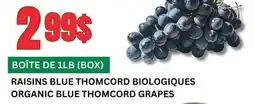 Marches Tau RAISINS BLUE THOMCORD BIOLOGIQUES offer