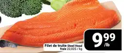 Pasquier Filet de truite Steel Head offer