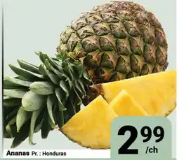 Pasquier Ananas offer