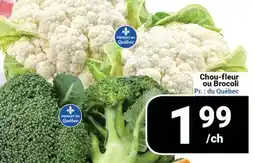 Pasquier Chou-fleur ou Brocoli offer