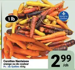 Pasquier Carottes Nantaises orange ou de couleur offer