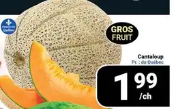 Pasquier Cantaloup offer