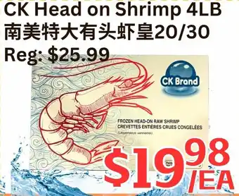 CK Head on Shrimp