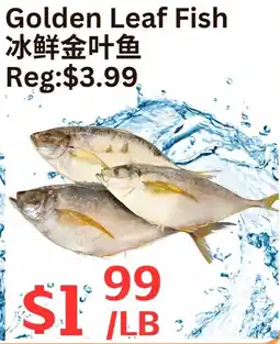Farm Fresh Supermarket Golden Leaf Fish offer