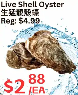 Farm Fresh Supermarket Live Shell Oyster offer