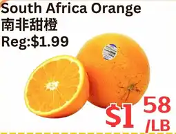 Farm Fresh Supermarket South Africa Orange offer