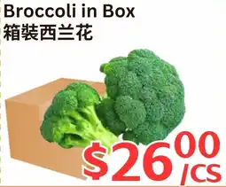 Farm Fresh Supermarket Broccoli in Box offer