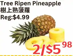 Farm Fresh Supermarket Tree Ripen Pineapple offer