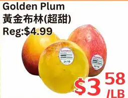 Farm Fresh Supermarket Golden Plum offer
