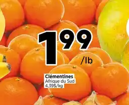 Val-Mont Clémentines Afrique du Sud offer