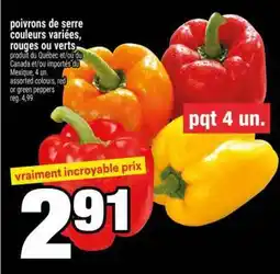 Super C poivrons de serre couleurs variées, rouges ou verts offer