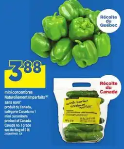 Maxi mini concombres Naturellement imparfaits offer