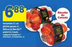 Maxi nectarines 2 L ou pêches jaunes 3 L offer