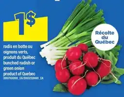 Maxi Radis en botte ou oignons verts offer