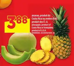 Maxi Ananas ou Melon Miel offer