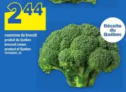 Maxi COURONNE DE BROCOLI offer