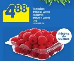 Maxi FRAMBOISES offer
