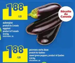 Maxi aubergine offer