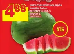 Maxi MELON D'EAU ENTIER SANS PÉPINS offer