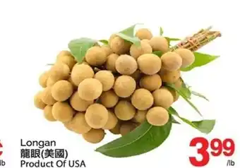 Longan