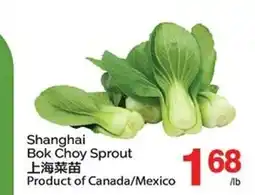 T&T Supermarket Shanghai Bok Choy Sprout offer