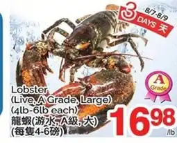 T&T Supermarket Lobster (Live, A Grade, Large) offer