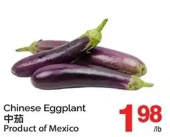 Chinese Eggplant
