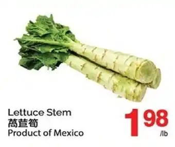 T&T Supermarket Lettuce Stem offer
