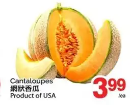 T&T Supermarket Cantaloupes offer