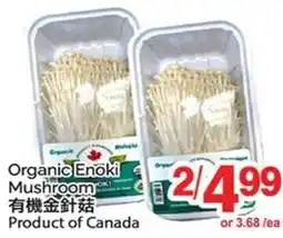 T&T Supermarket Organic Enoki Mushroom offer