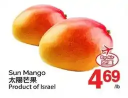 T&T Supermarket Sun Mango offer