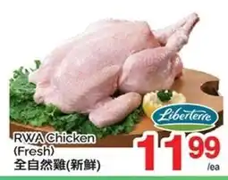 T&T Supermarket RWA Chicken (Fresh) offer