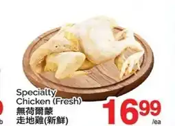 T&T Supermarket Specialty Chicken (Fresh) offer