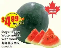 Btrust Supermarket Sugar baby watermelon with seed offer