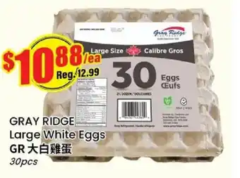 Gray ridge large white eggs
