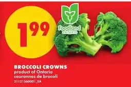 No Frills BROCCOLI CROWNS offer